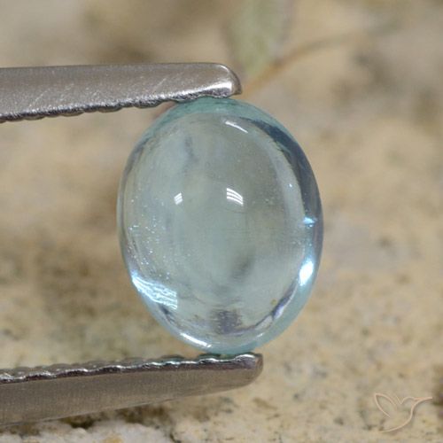 0.71ct Natural Cerceta claro Apatito, Ovalada, Transparente