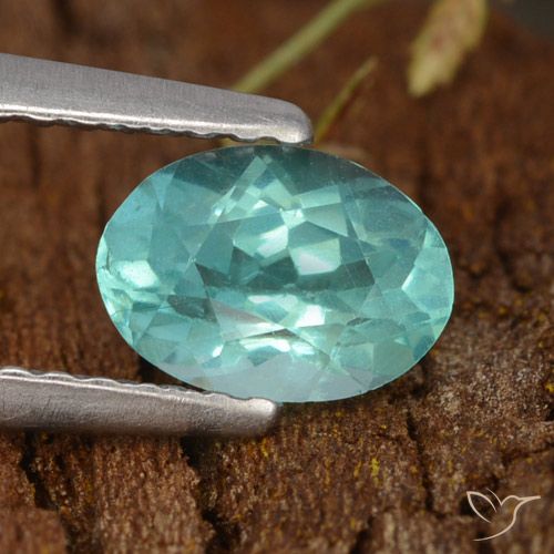 0.72ct Natural Verde azul intenso Apatito, Ovalada, VS