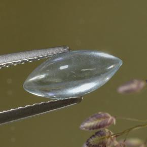 Aguamarina Azul claro natural de 1.06 ct, Marquesa, Transparente