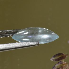 Aguamarina Azul claro natural de 1.06 ct, Marquesa, Transparente
