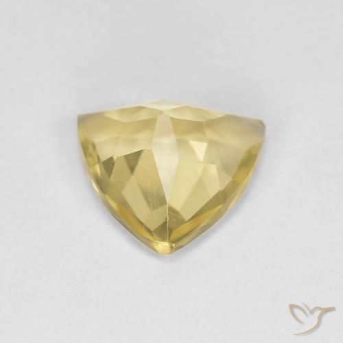 Berilo Amarillo cálido natural de 1.34 ct, Trillón, VS