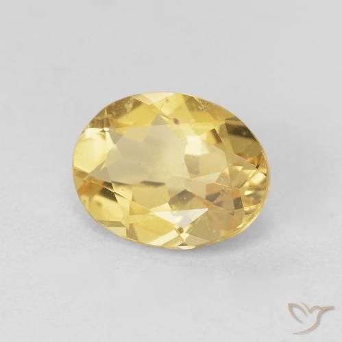 Berilo Amarillo abejorro natural de 1.59 ct, Ovalada, VS