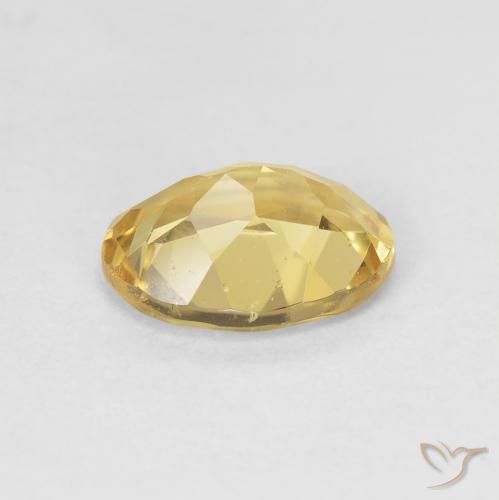 Berilo Amarillo abejorro natural de 1.59 ct, Ovalada, VS