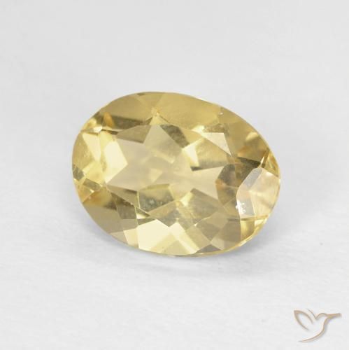 Berilo Amarillo cálido natural de 1.62 ct, Ovalada, VVS-VS
