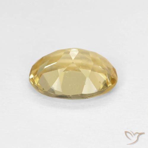 Berilo Amarillo cálido natural de 1.62 ct, Ovalada, VVS-VS