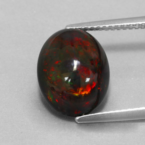 Ópalo negro multicolor natural de 3,73 ct, corte óvalo, opaco