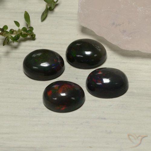 5.54ctw Natural Multicolor Ópalo negro, Ovalada, Translúcido