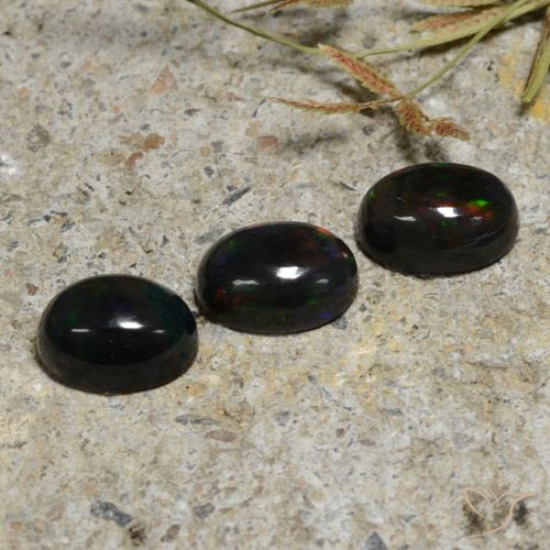 2.84ctw Natural Multicolor Ópalo negro, Ovalada, Translúcido
