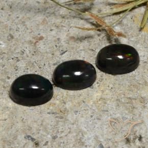 Gemas de Ópalo negro Multicolor natural de 2.84 ct, Ovalada, Translúcido