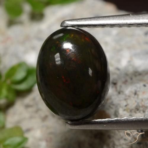 1.34ct Natural Multicolor Ópalo negro, Ovalada, Translúcido