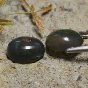 Gemas de Ópalo negro Multicolor natural de 2.30 ct, Ovalada, Translúcido