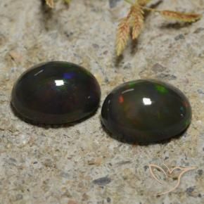 Gemas de Ópalo negro Multicolor natural de 2.65 ct, Ovalada, Translúcido