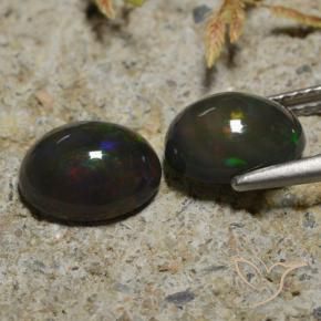 Gemas de Ópalo negro Multicolor natural de 2.65 ct, Ovalada, Translúcido