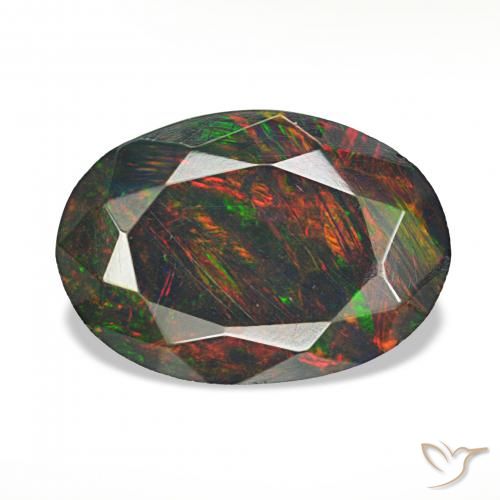1.40ct Multicolor Ópalo negro, Ovalada, Opaco