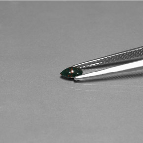 Sanguinaria Verde moteado natural de 0.27 ct, En forma de pera, Opaco