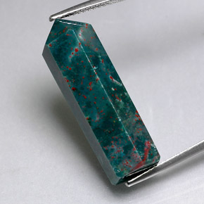 Sanguinaria Verde moteado natural de 17.46 ct, Elegante, Opaco