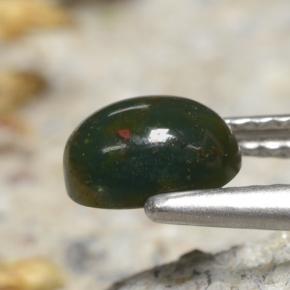 Sanguinaria Verde natural de 0.83 ct, Corte Óvalo, Opaco