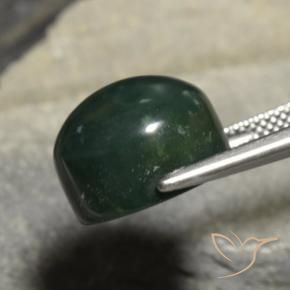 Sanguinaria Verde oscuro natural de 13.42 ct, Redondo, Opaco