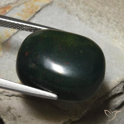 Sanguinaria Verde bosque natural de 18.22 ct, Ovalada, Opaco