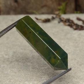 Sanguinaria Multicolor natural de 11.18 ct, Forma elegante, Opaco