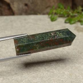 Sanguinaria Multicolor natural de 16.04 ct, Forma elegante, Opaco