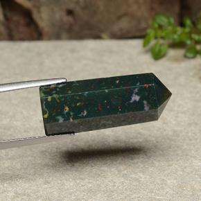 Sanguinaria Multicolor natural de 15.50 ct, Forma elegante, Opaco