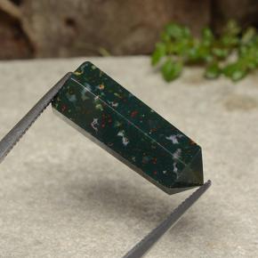 Sanguinaria Multicolor natural de 15.50 ct, Forma elegante, Opaco