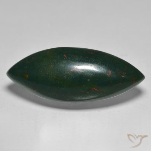 15.61ct Natural Verde oscuro Sanguinaria, Marquesa, Opaco