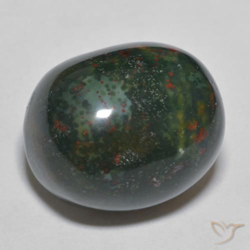24.63ct Natural Multicolor Sanguinaria, Ovalada, Opaco