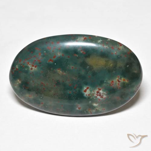 21.79ct Natural Multicolor Sanguinaria, Ovalada, Opaco
