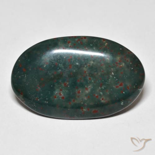 18.31ct Natural Multicolor Sanguinaria, Ovalada, Opaco