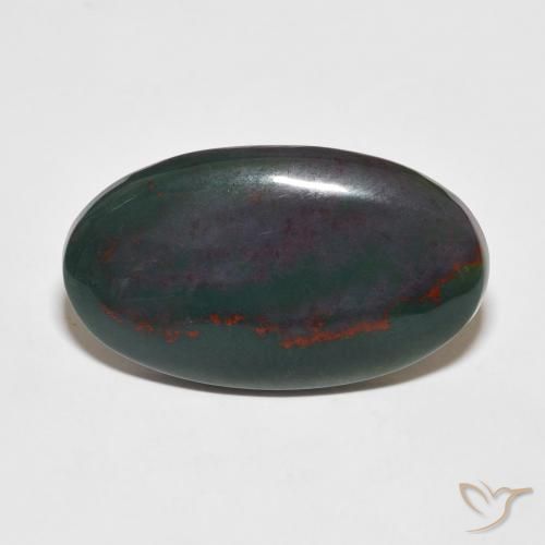 16.25ct Natural Multicolor Sanguinaria, Ovalada, Opaco