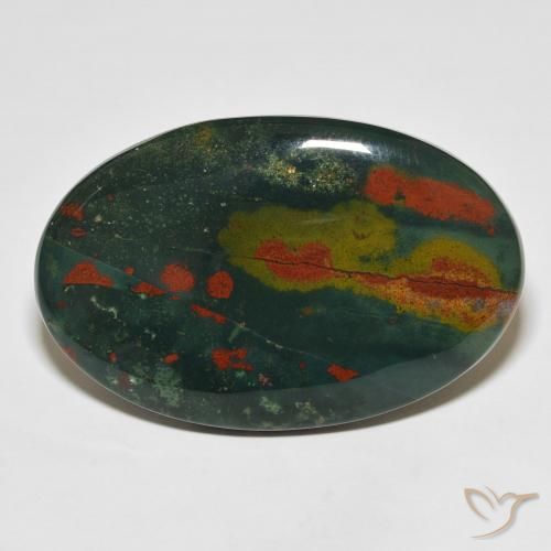 31.60ct Natural Multicolor Sanguinaria, Ovalada, Opaco