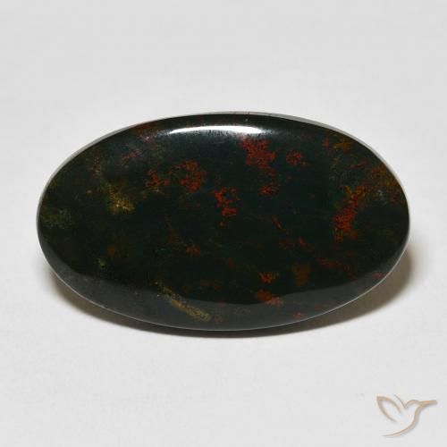 18.45ct Natural Multicolor Sanguinaria, Ovalada, Opaco