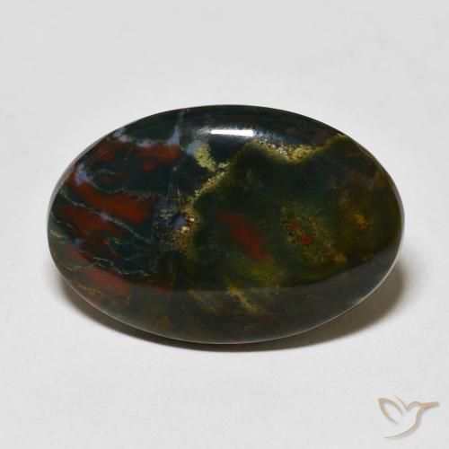 16.79ct Natural Multicolor Sanguinaria, Ovalada, Opaco