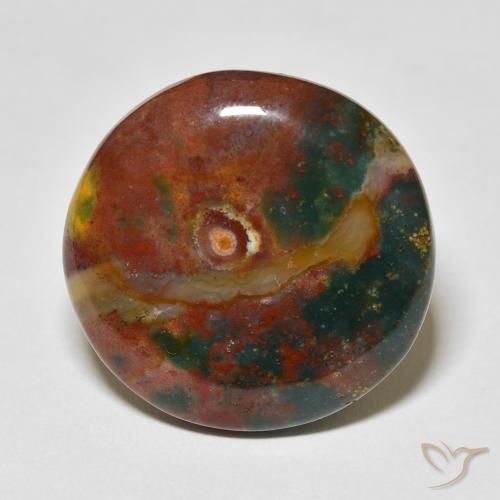 27.51ct Natural Multicolor Sanguinaria, Redondo, Opaco