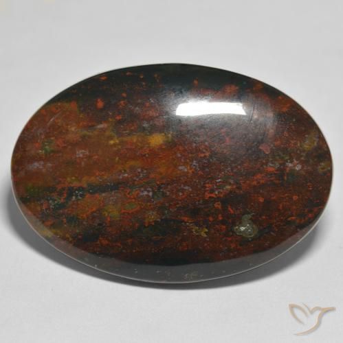 44.08ct Natural Multicolor Sanguinaria, Ovalada, Opaco