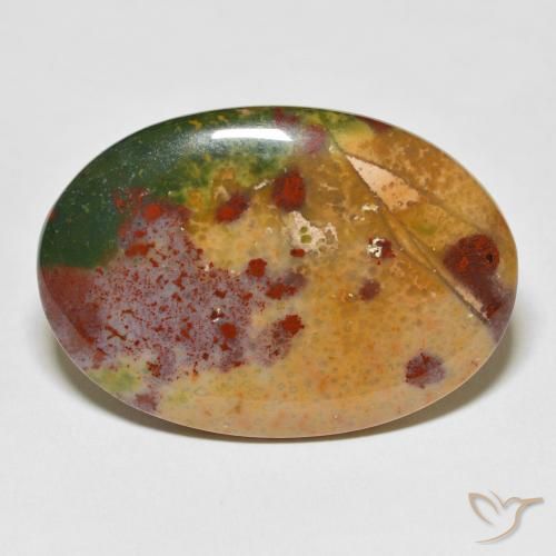 40.37ct Natural Multicolor Sanguinaria, Ovalada, Opaco