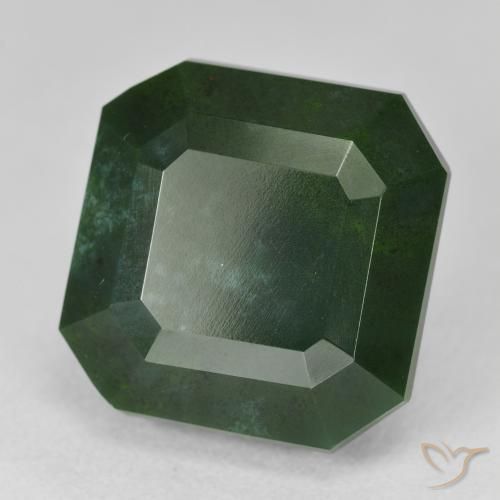 Sanguinaria Verde oscuro natural de 18.72 ct, Corte Octágono / Esmeralda, Opaco