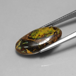 Ópalo de roca Multicolor natural de 11.02 ct, Forma elegante, Opaco