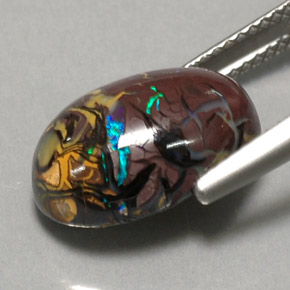 Ópalo de roca Multicolor natural de 6.95 ct, Corte Óvalo, Opaco