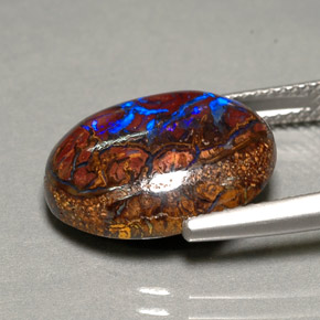 Ópalo de roca Multicolor natural de 9.88 ct, Corte Óvalo, Opaco