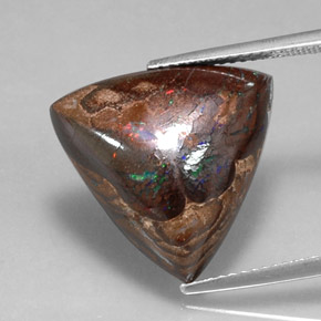 Ópalo de roca Multicolor natural de 13.66 ct, Trillón, Opaco