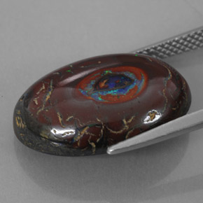 Ópalo de roca Multicolor natural de 12.70 ct, Corte Óvalo, Opaco