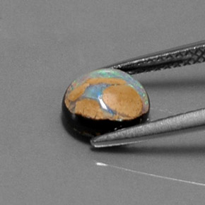 Ópalo de roca Multicolor natural de 1.54 ct, Corte Redondo, Opaco