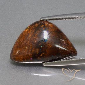 10.40ct Natural Multicolor Ópalo de roca, Elegante, Opaco