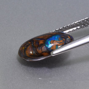 Ópalo boulder multicolor natural de 2,68 ct, corte óvalo, opaco