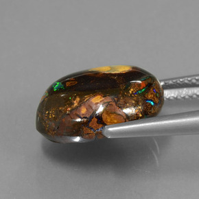 Ópalo de roca Multicolor natural de 9.05 ct, Forma elegante, Opaco