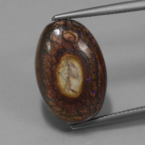 Ópalo de roca Multicolor natural de 12.77 ct, Corte Óvalo, Opaco