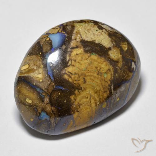 Ópalo de roca Multicolor natural de 17.61 ct, Elegante, Opaco